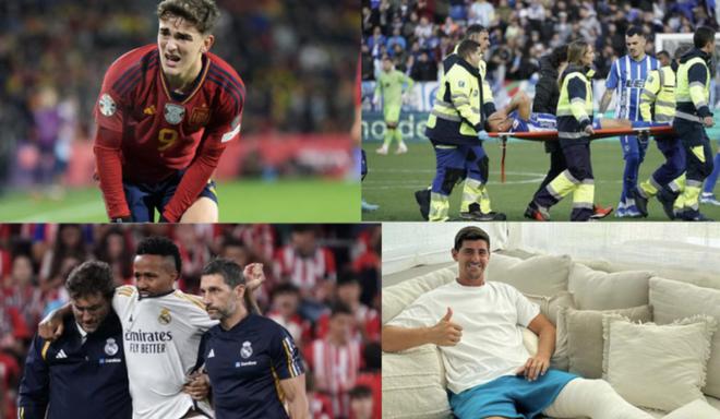 天津津门虎 天津津门虎